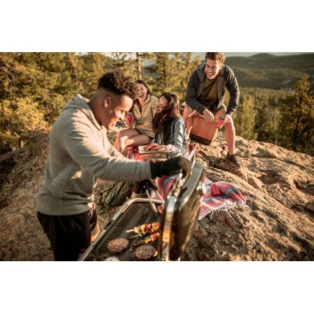 Barbecue à Gaz Weber Traveler Noir Cod.9010053