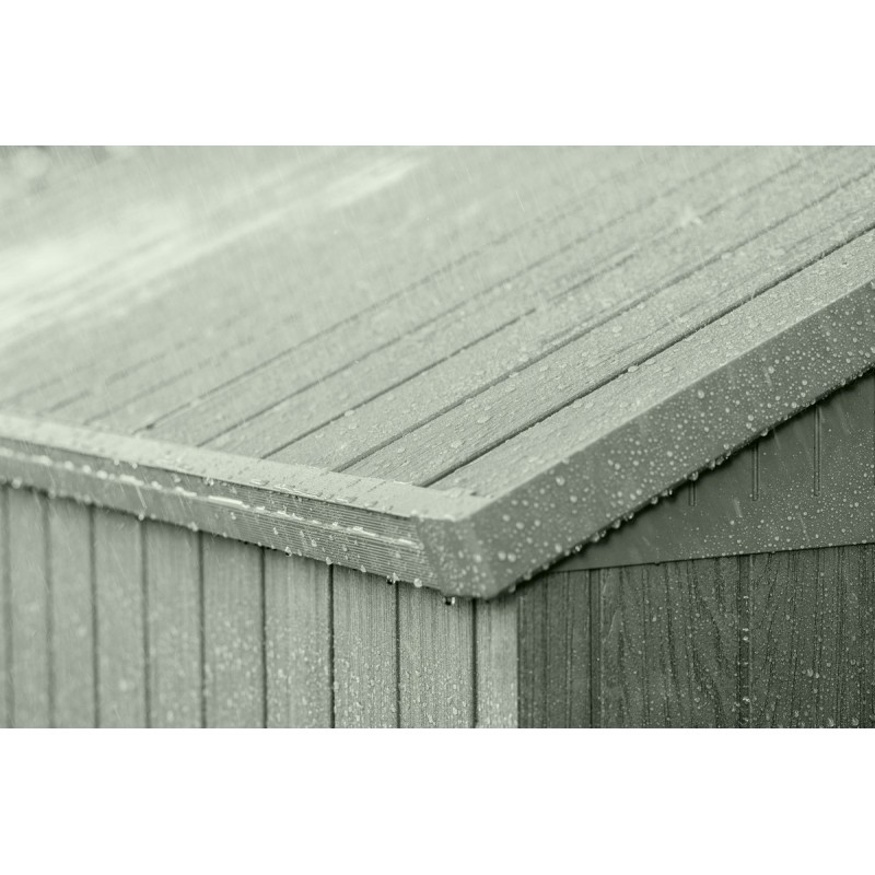 Keter Abri de Jardin en Résine DARWIN 4x6 Green