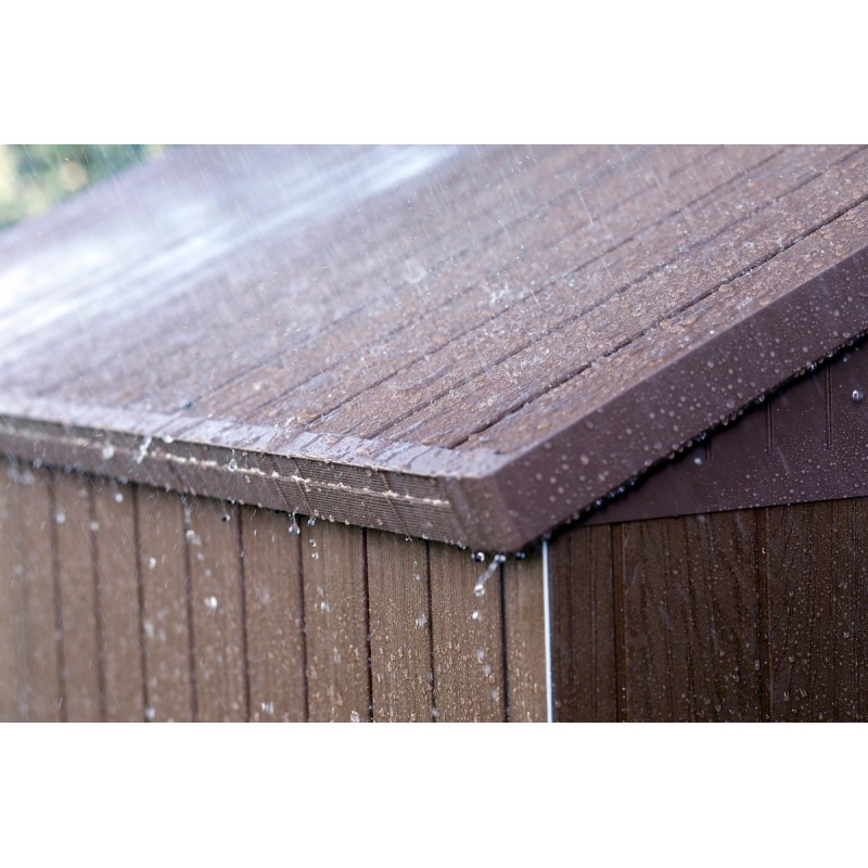 Keter Abri de Jardin en Résine DARWIN 6x4 Wood avec Fenêtres Frontales
