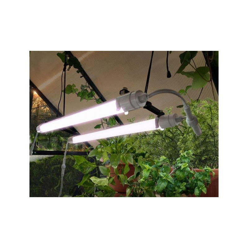 Canopia Brighton Lampe LED de croissance pour plantes