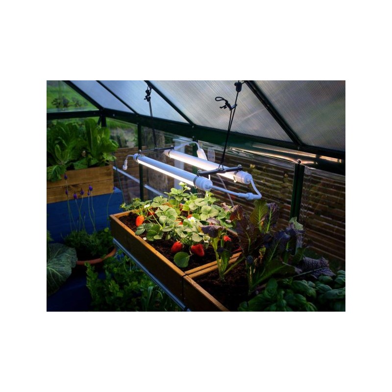 Canopia Brighton Lampe de croissance des plantes à LED Canopia Brighton Lampe de croissance des plantes à LED