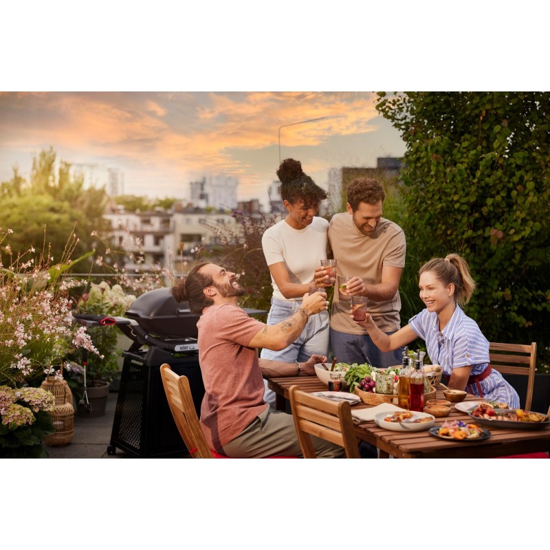 Barbecue à Gaz Weber Q 2800N+ Avec Chariot Premium Noir Cod. 1501123