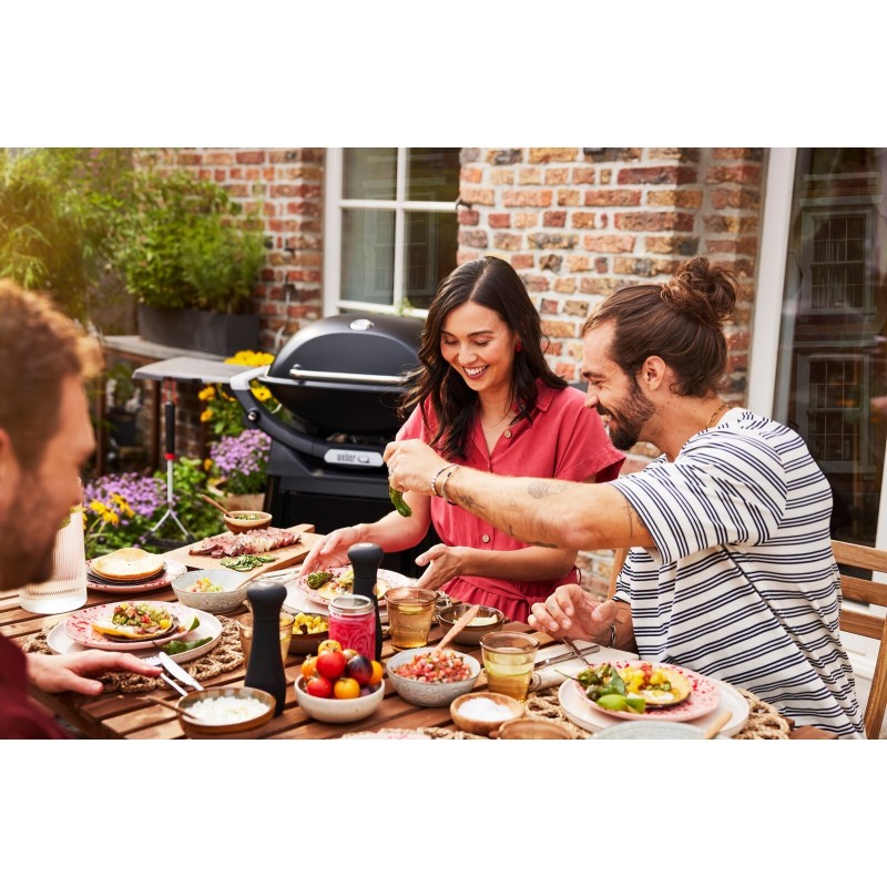 Barbecue à gaz Weber Q 3200N+ Noir Réf. 1501135 Barbecue à gaz Weber Q 3200N+ Noir Réf. 1501135