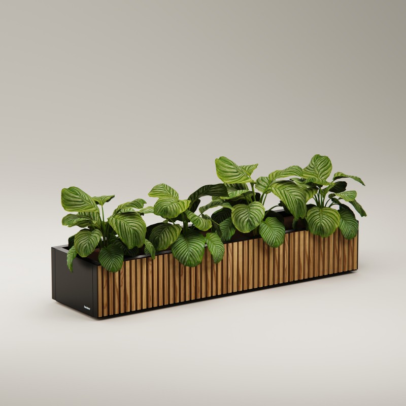 Jardinière basse Herstera PLANTER WOOD XIC 150 en métal couleur anthracite 150x40x25 cm