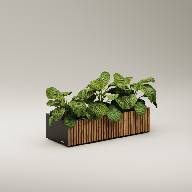 Jardinière basse Herstera PLANTER WOOD XIC 100 en métal couleur anthracite 100x40x25 cm