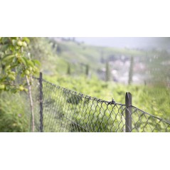 Stocker Loose tee fitting Ø 8 mm for Geyser - Single piece