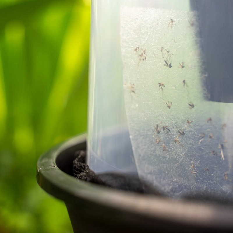 Biogents BG-GAT Reflect-tech outdoor tiger mosquito trap (X2) Biogents BG-GAT Reflect-tech outdoor tiger mosquito trap (X2)