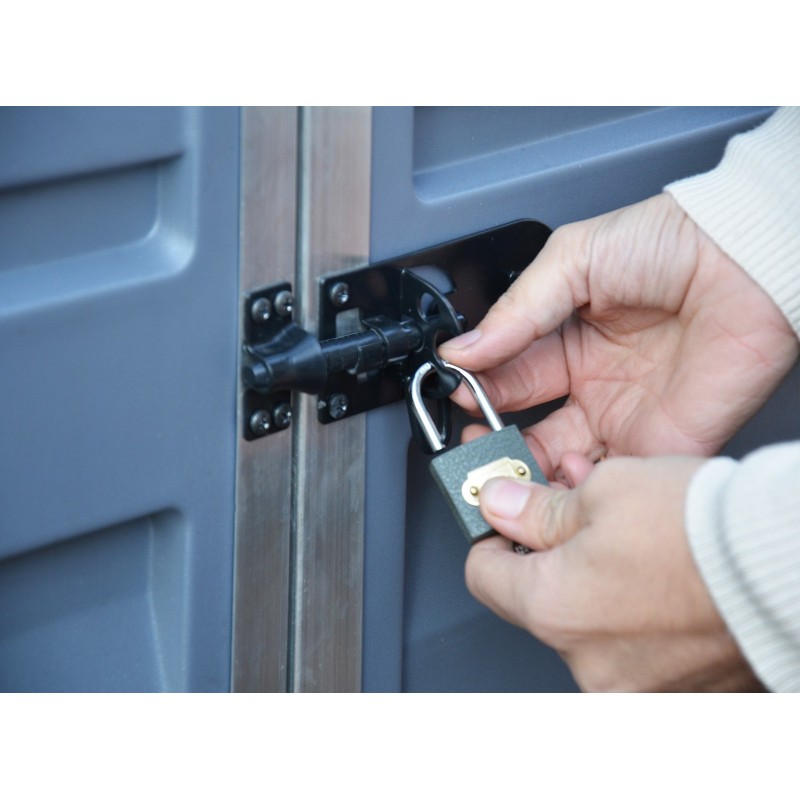 Abri de jardin Canopia Skylight en polycarbonate 303 x 185 x 217 cm Gris