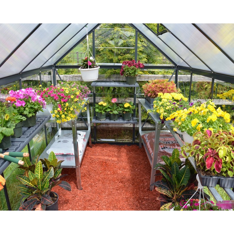 Canopia Hybrid Serre de jardin en polycarbonate 306x185x208 cm Gris Canopia Hybrid Serre de jardin en polycarbonate 306x185x208 cm Gris