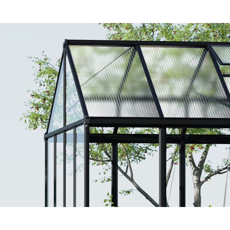 Canopia Aria Serre de jardin hybride en polycarbonate 608x304x285 cm Noir