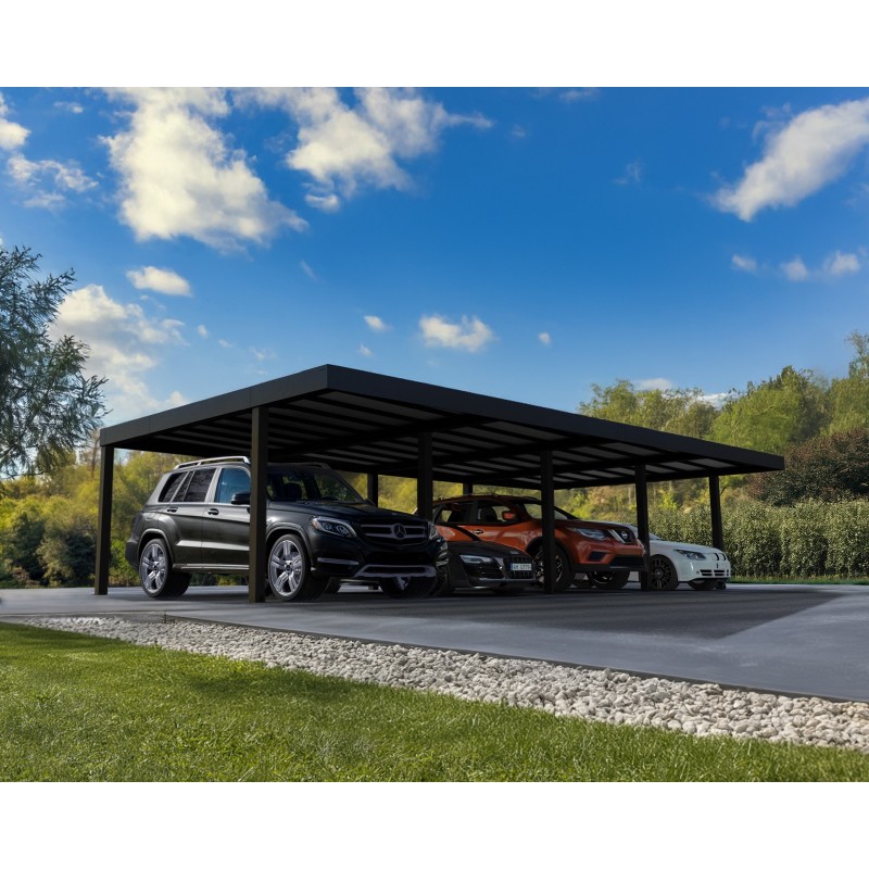 Canopia Oslo Carport en aluminium 6x12 m Noir