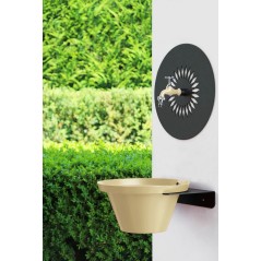 Aquapoint Wall Fountain Daisy Ivory Garden Fountain