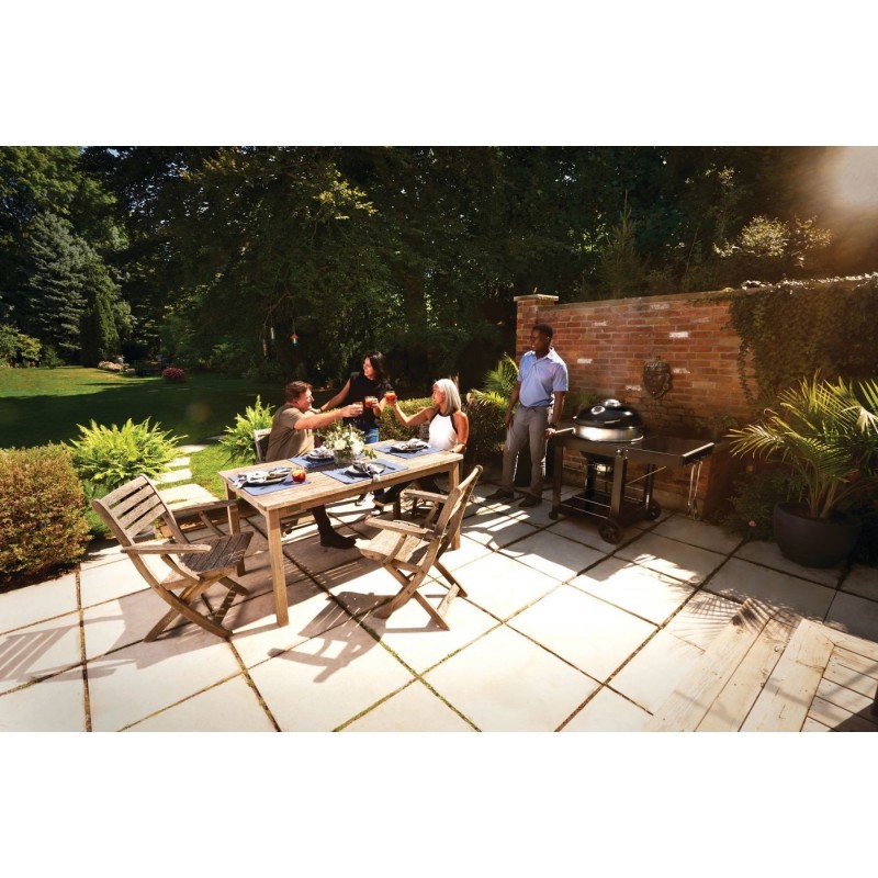 Barbecue au charbon Napoleon CHARCOAL PRO 22 avec chariot cod. PRO22K-CART