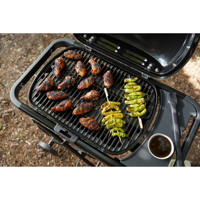 Barbecue Weber à Gaz Traveler Compact Noir Réf. 1501750