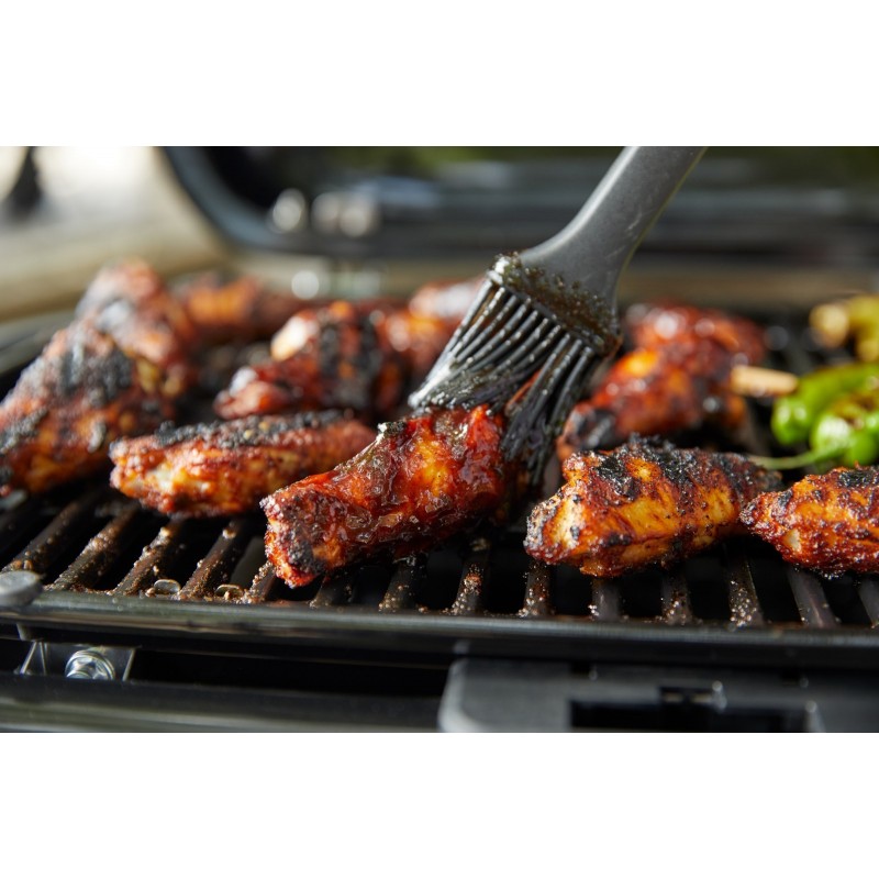 Barbecue Weber à Gaz Traveler Compact Noir Réf. 1501750