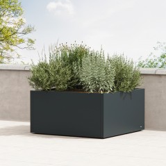 Low Herstera PLANTER LOW CUBE Metal Planter Anthracite 100x100x50 cm