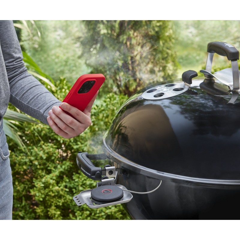 Sonde Intelligent Weber avec Capteur pour Grille Réf. 3400590