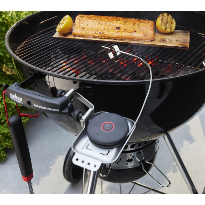 Sonde Intelligent Weber avec Capteur pour Grille Réf. 3400590