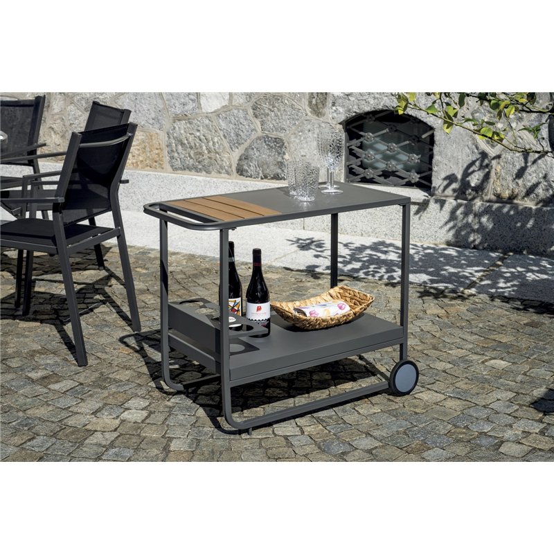 Greenwood Cart with Iron and Resin Wood Wheels - Anthracite