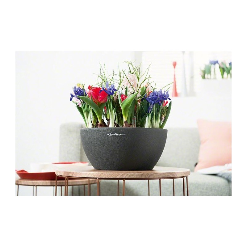 Vase Cubeto 30 Lechuza Complete Set Vase Cubeto 30 Lechuza Complete Set