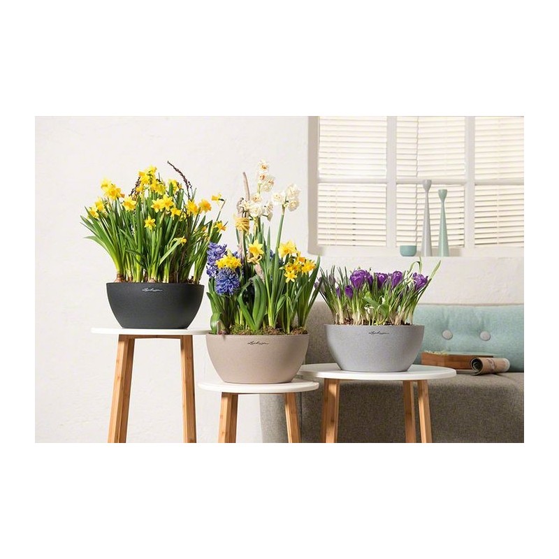 Pot Cubeto 40 Lechuza Set Complet