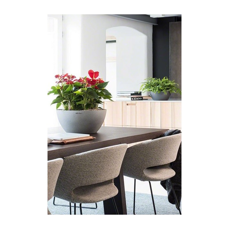 Pot Cubeto 40 Lechuza Set Complet