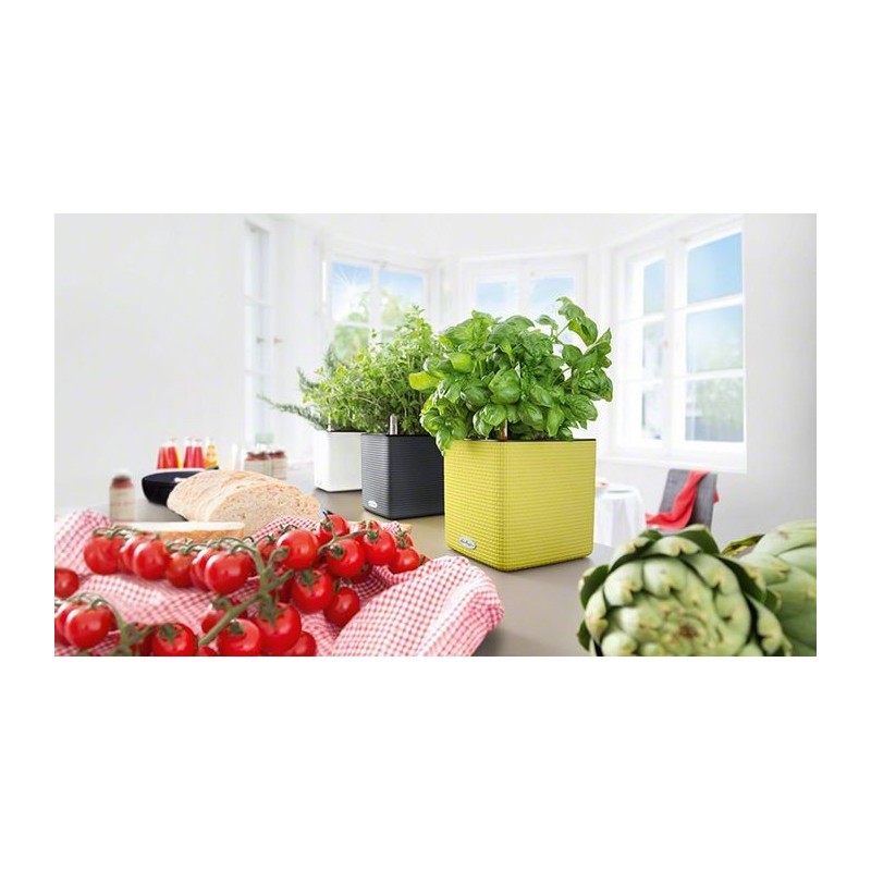 Pot Cube Color 16 Lechuza Complete Set Pot Cube Color 16 Lechuza Complete Set