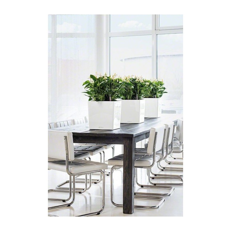 Vase Cube 30 Lechuza Set Complet