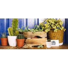 Caisse en Pin Massif Brut Effet Bois Brûlé 30x20x14 cm Unionwood