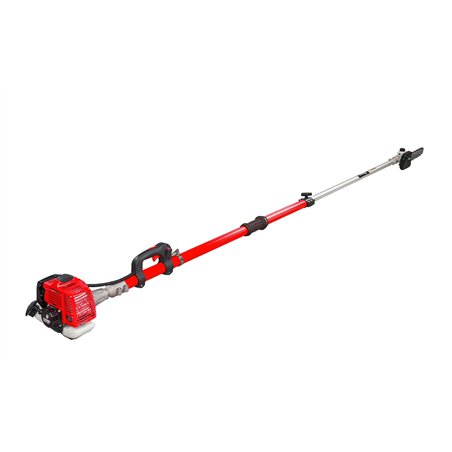 Potatore telescopico a scoppio Blue Bird PTT 261 asta 4,1 m