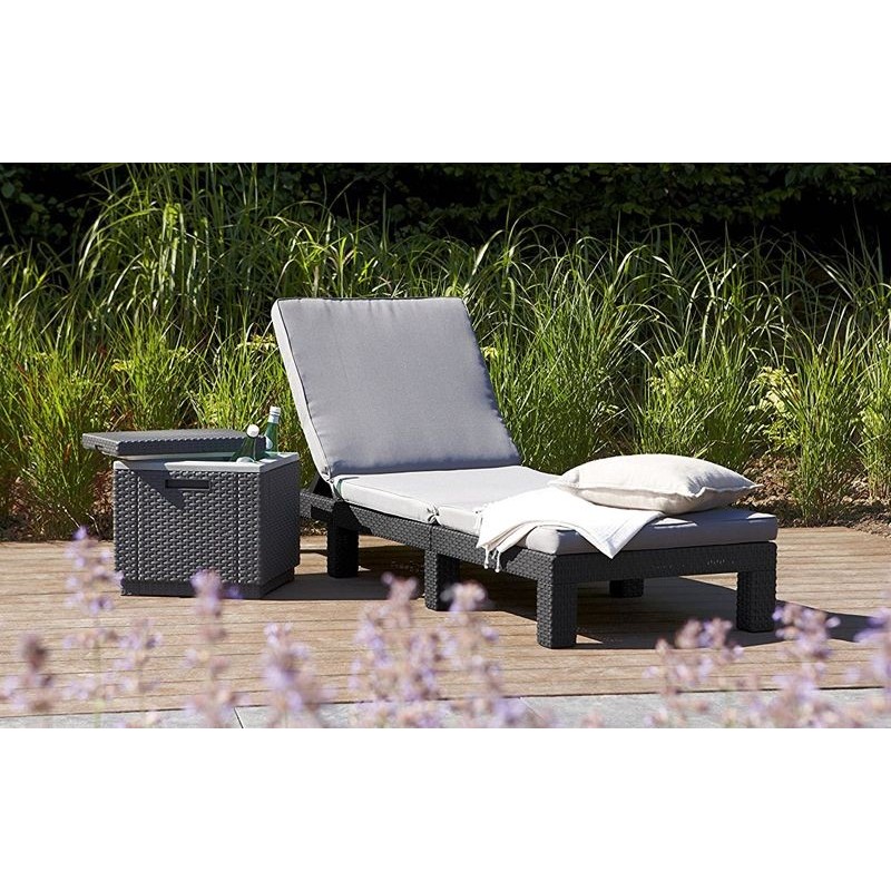 Keter Lounger With Cushion DAYTONA Graphite Keter Lounger With Cushion DAYTONA Graphite