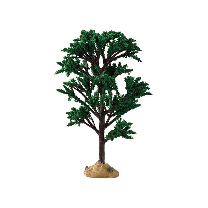 Green Elm Tree Cod. 94541