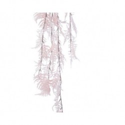 Asparagus Rosa Fashon dim 12x34x110 cm