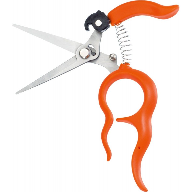 Stocker Stainless steel grape harvest scissors 20 mm blade 55 mm Stocker Stainless steel grape harvest scissors 20 mm blade 55 mm