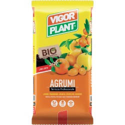 Terriccio Agrumi 20 litri Vigorplant