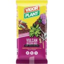 Lapillo vulcanico Vulcan Decor Red 20 litri Vigorplant