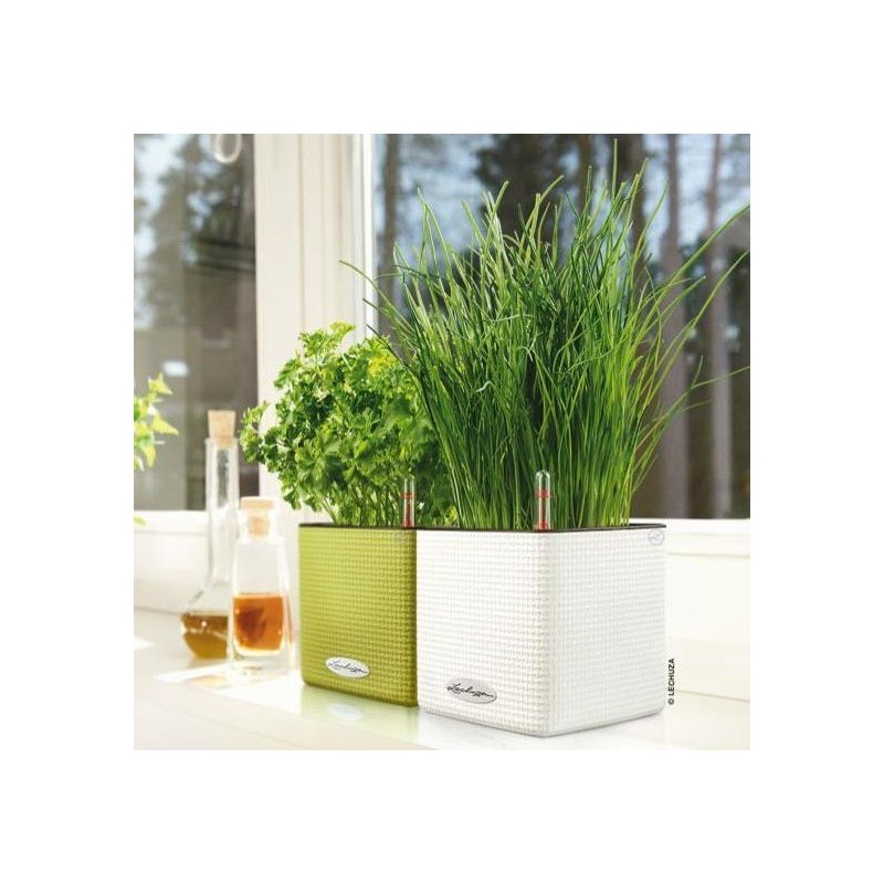 Vaso Cube Color 14 Lechuza Set Completo