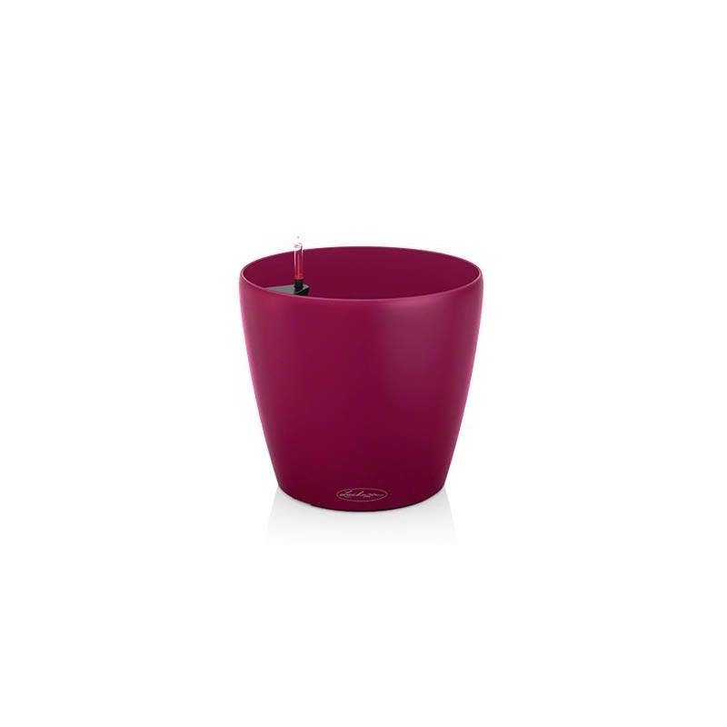 Vaso Classico Color 21 Lechuza Set Completo