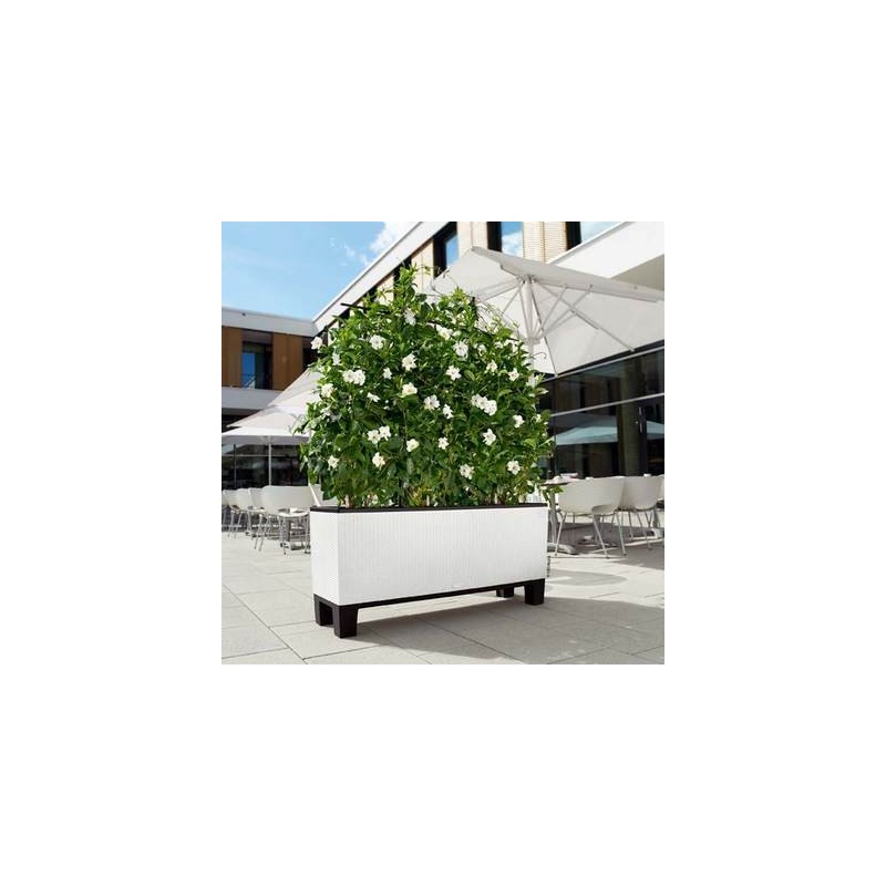 Base with Feet for Lechuza Trio 30 Planter Base with Feet for Lechuza Trio 30 Planter