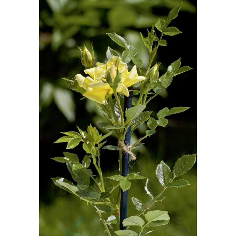 Stocker Jutec filo di iuta biodegradabile 50 m naturale