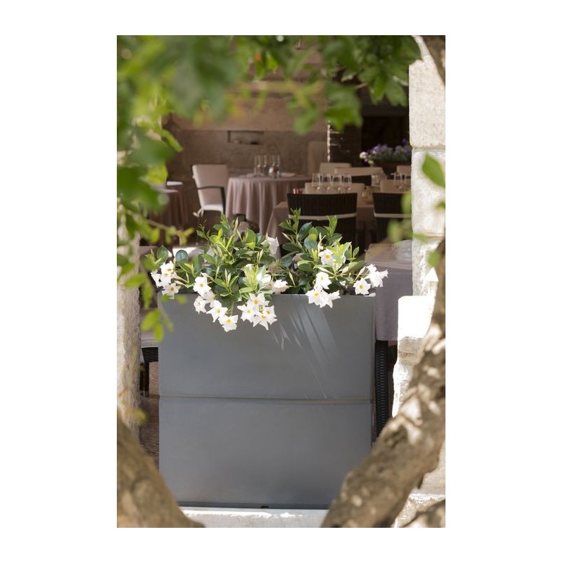 Patio planter Patio planter