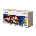Sponge for dried flowers Stocker