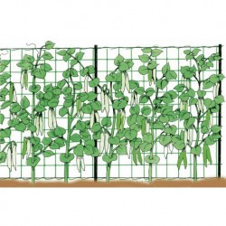 Stocker Rete rampicante 2 x 500 m