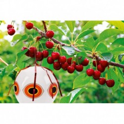 White balloon scarecrow Stocker Ø40 cm