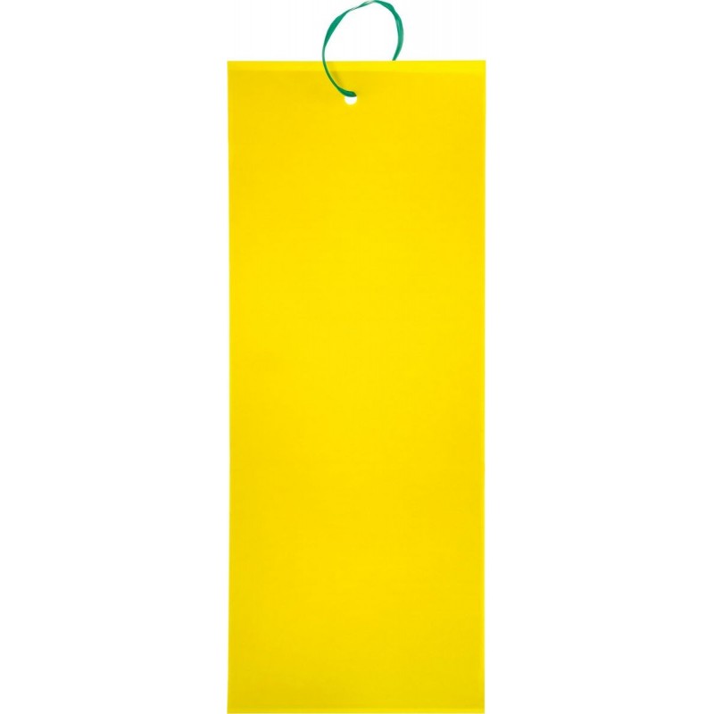 Insect Sticky trap L Stocker 24 x 10 cm Insect Sticky trap L Stocker 24 x 10 cm