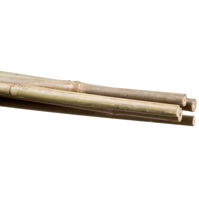 Bamboo plant holder Stocker 14 16 mm 180 cm