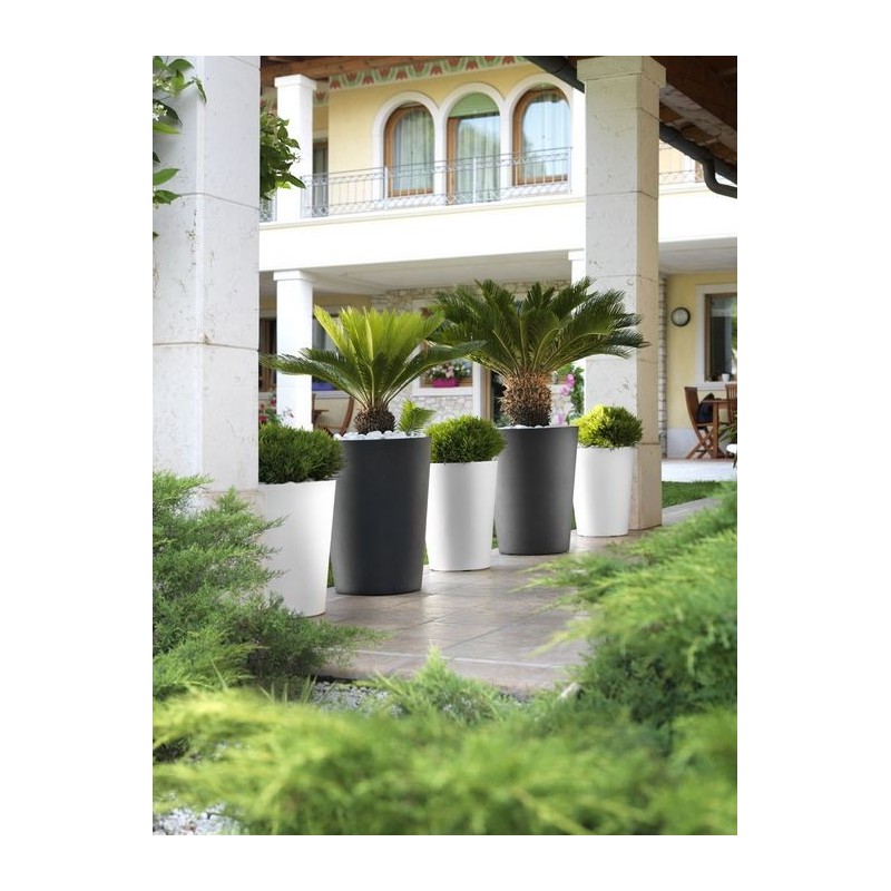 Zamora Pot