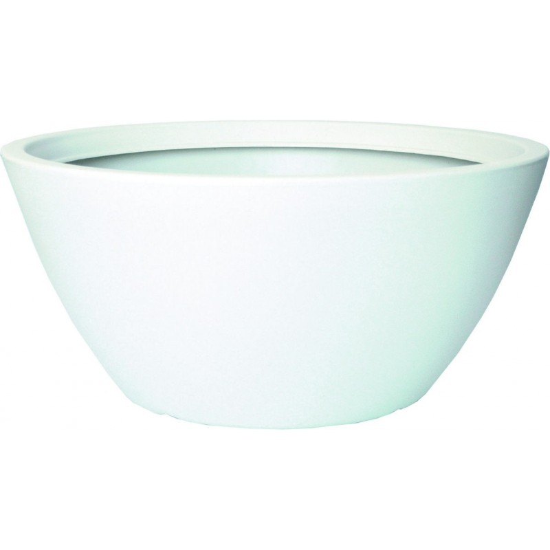 Camaiore Bowl Camaiore Bowl