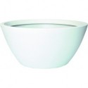Camaiore Bowl