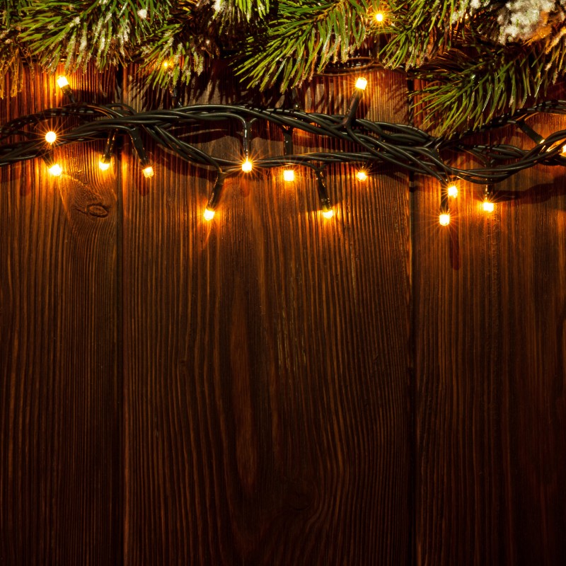 TLE 450 WARM WHITE LED chain TLE 450 WARM WHITE LED chain